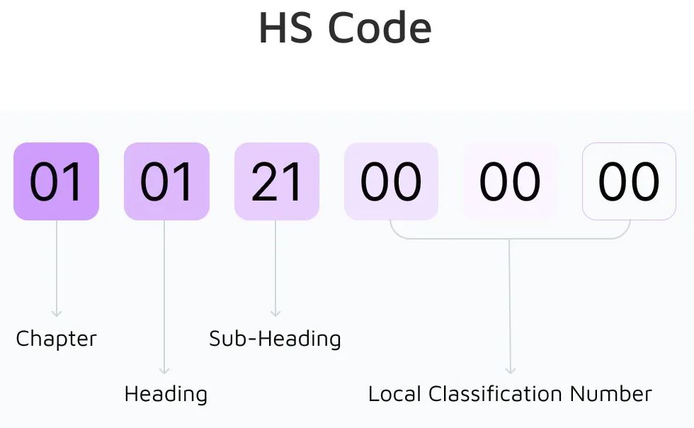 HS